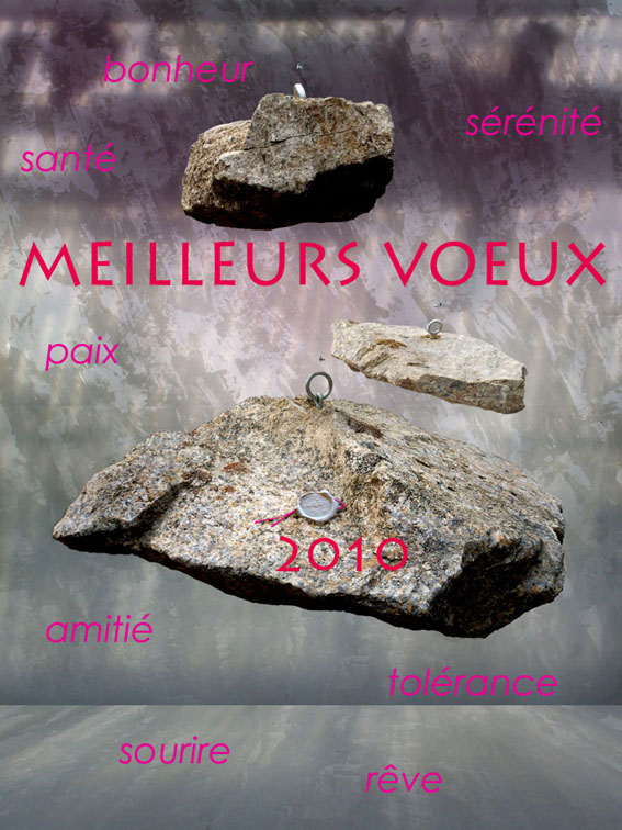 voeux 2010